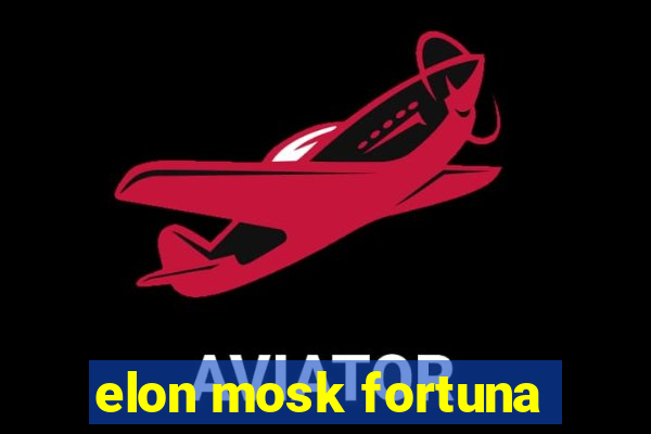 elon mosk fortuna