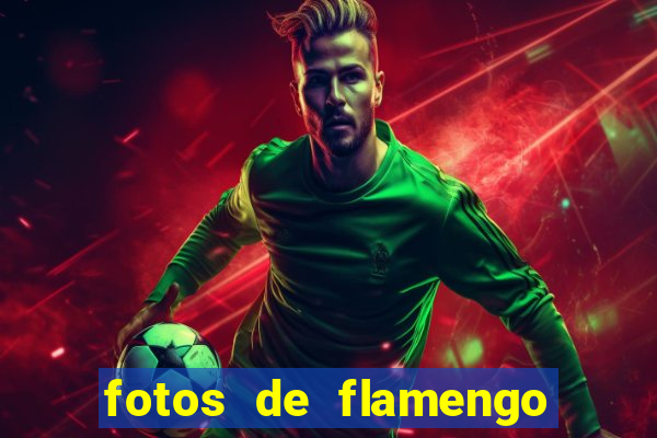 fotos de flamengo para perfil