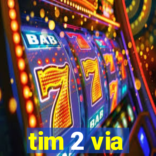 tim 2 via