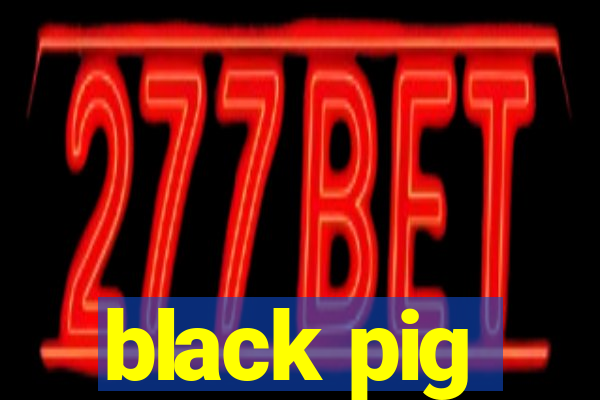 black pig