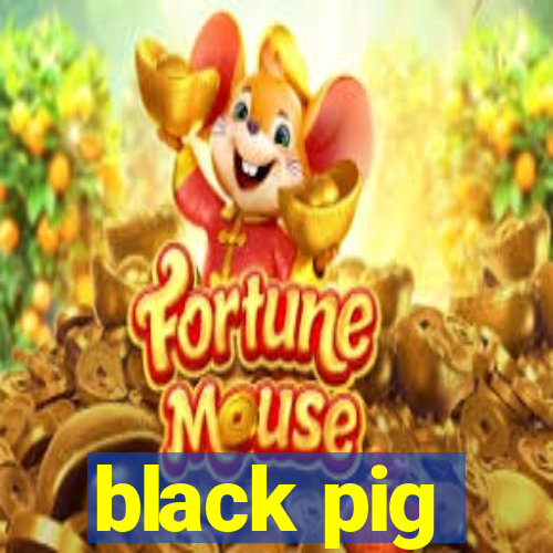 black pig