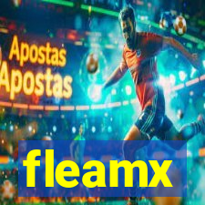 fleamx