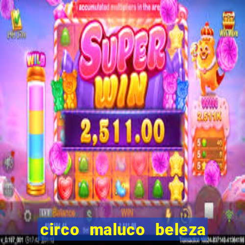 circo maluco beleza recife circo maluco