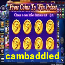 cambaddied