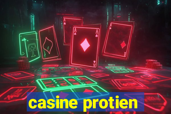 casine protien