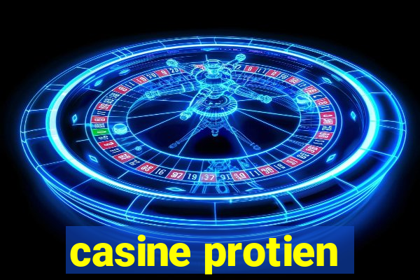 casine protien