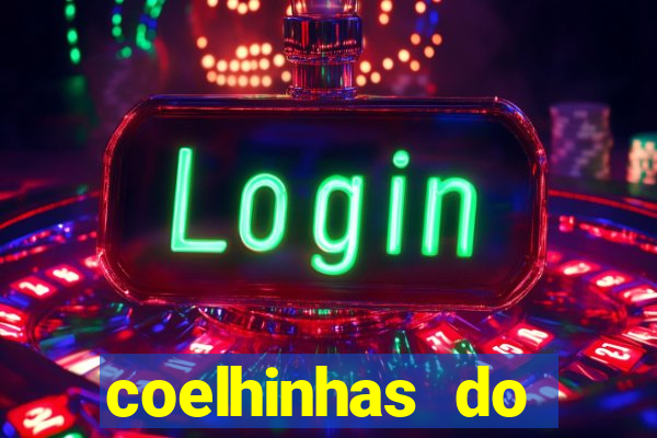 coelhinhas do brasil recife