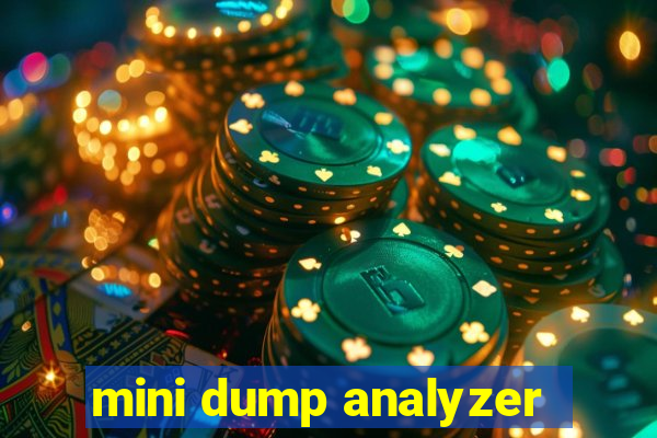 mini dump analyzer