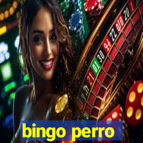 bingo perro