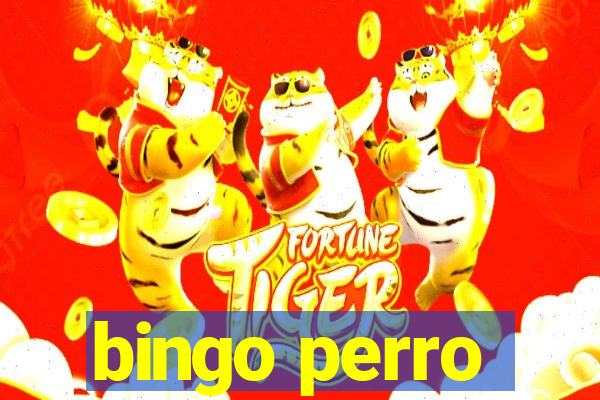 bingo perro