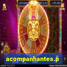 acompanhantes.pvh