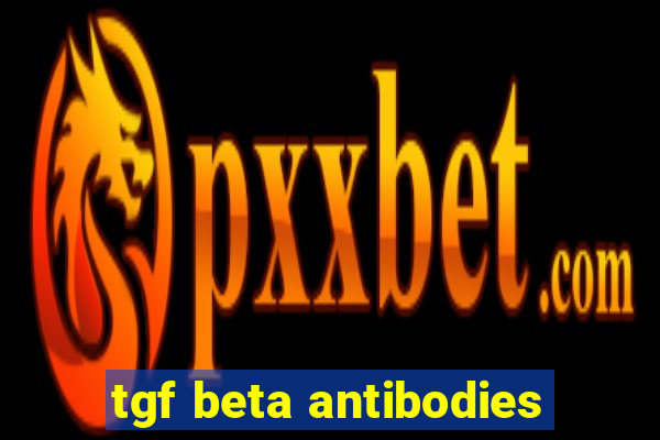 tgf beta antibodies