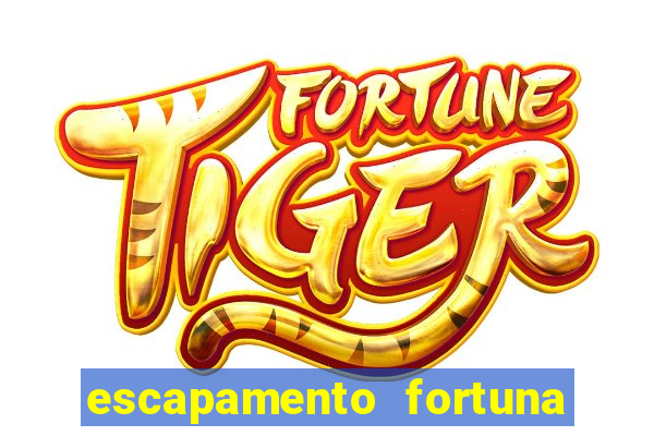 escapamento fortuna tenere 250