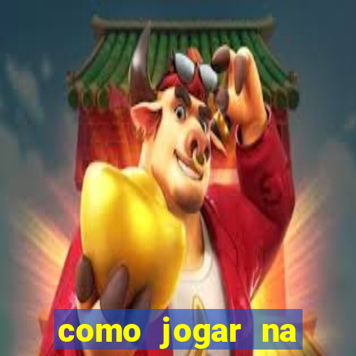 como jogar na seninha online