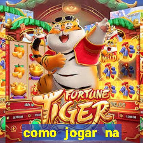 como jogar na seninha online