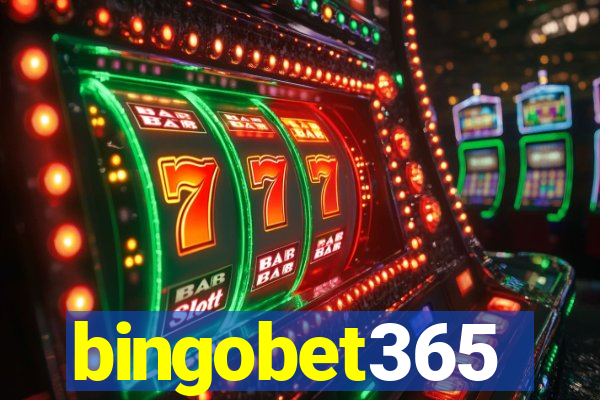 bingobet365