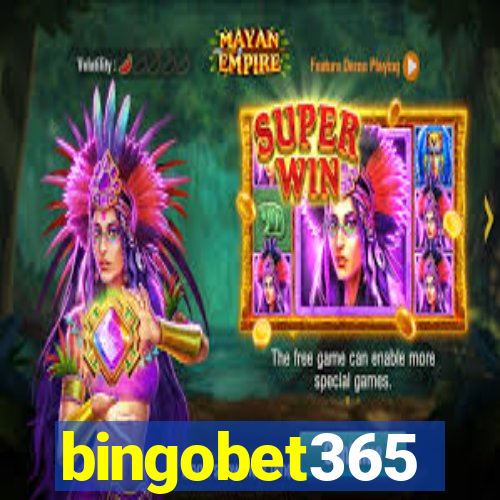 bingobet365