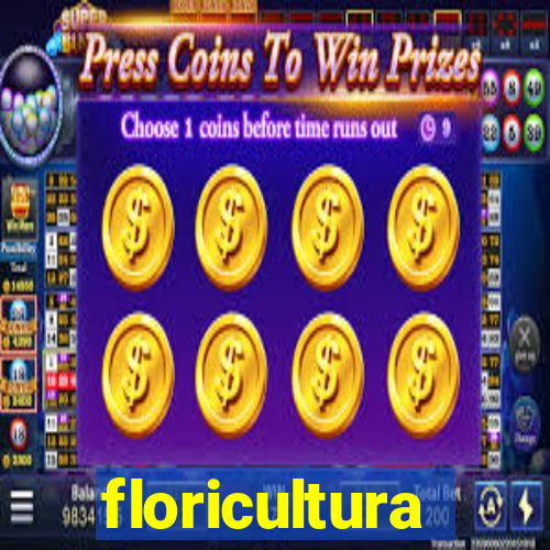 floricultura cruzeiro novo