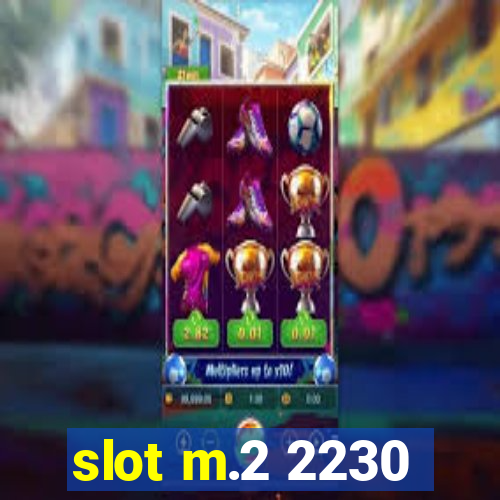 slot m.2 2230