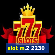 slot m.2 2230