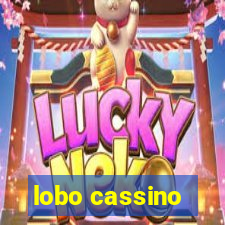 lobo cassino