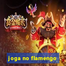 joga no flamengo