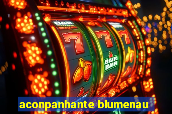 aconpanhante blumenau