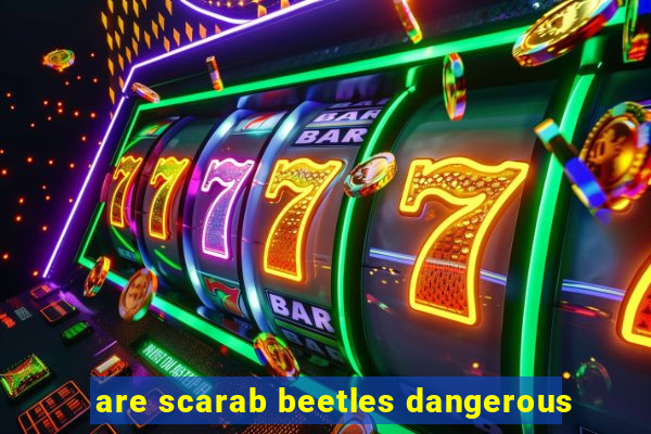 are scarab beetles dangerous