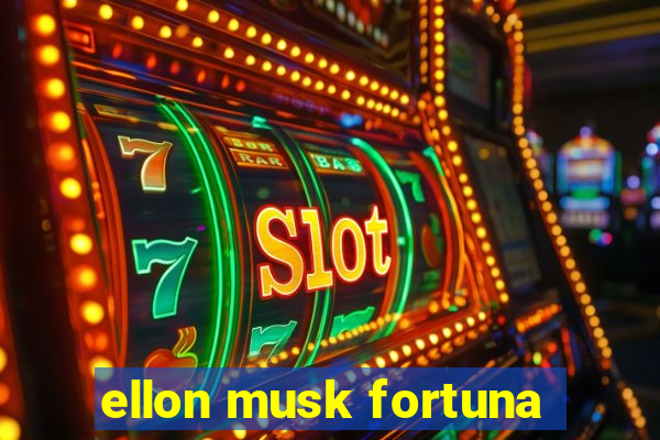 ellon musk fortuna