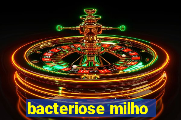 bacteriose milho