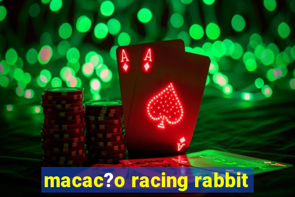 macac?o racing rabbit