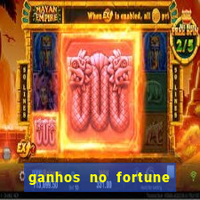 ganhos no fortune rabbit 