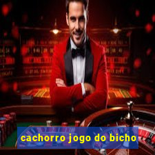 cachorro jogo do bicho