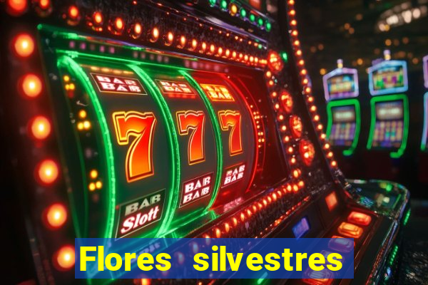 Flores silvestres brasileiras 25