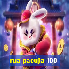 rua pacuja 100