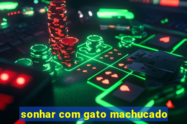 sonhar com gato machucado