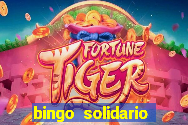 bingo solidario como organizar