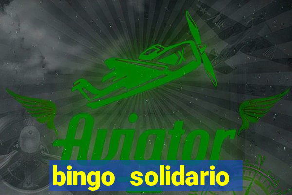 bingo solidario como organizar