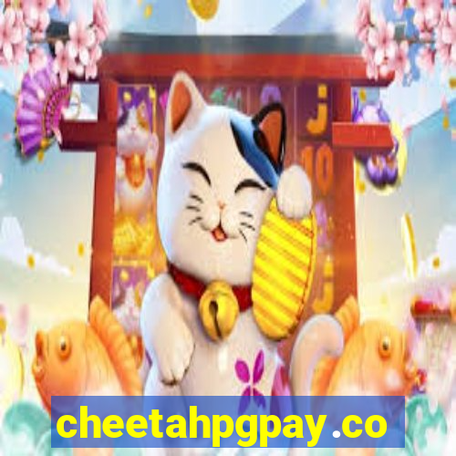 cheetahpgpay.com