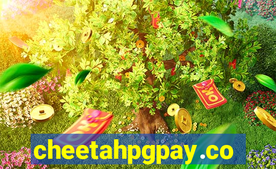 cheetahpgpay.com