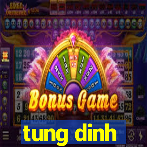 tung dinh