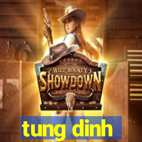 tung dinh