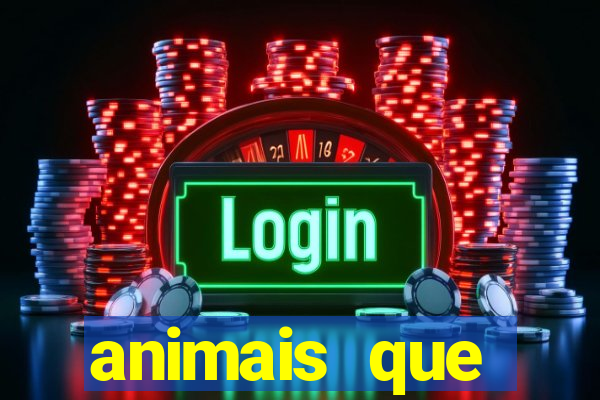 animais que produzem l茫