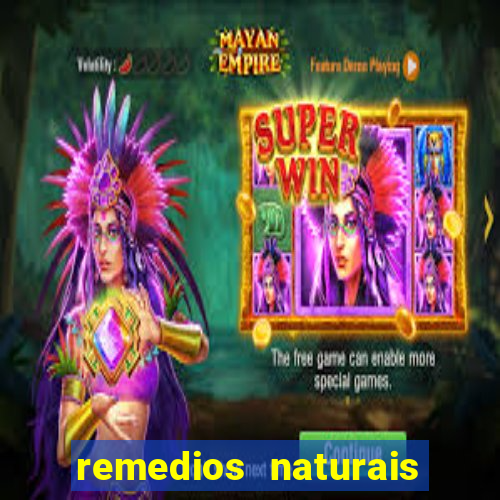 remedios naturais para diabetes