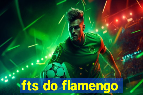 fts do flamengo