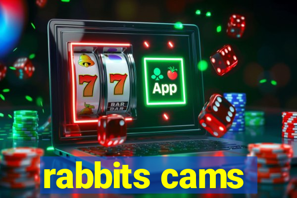 rabbits cams