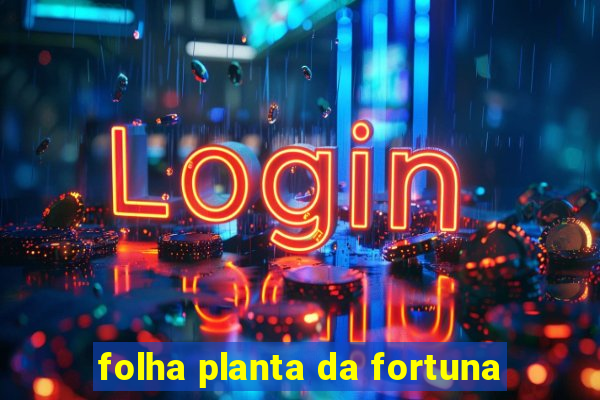 folha planta da fortuna