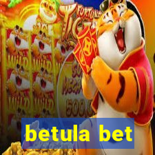 betula bet