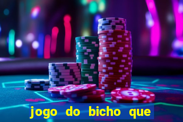 jogo do bicho que paga no pix