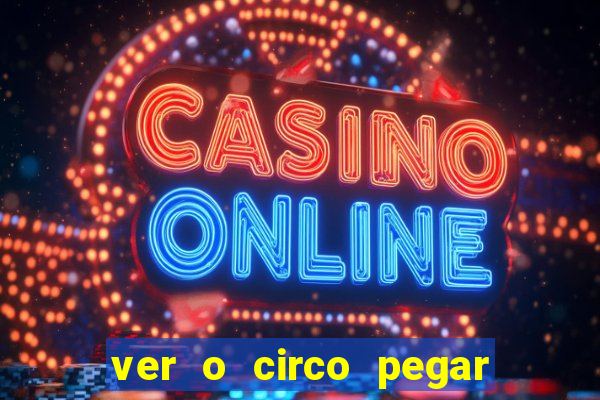 ver o circo pegar fogo significado